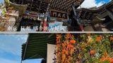 南京 杭州 哪个地方好玩,合肥，南京，苏州，杭州哪个地方好玩