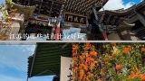 江苏的哪些城市比较好玩,江苏有哪些旅游景点好玩的地方