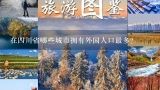 在四川省哪些城市拥有外国人口最多？