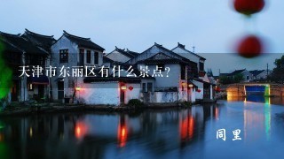 天津市东丽区有什么景点？