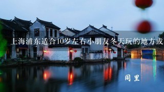 上海浦东适合10岁左右小朋友冬天玩的地方或项目，比如上海科技馆、、、、、、还有其他地方吗