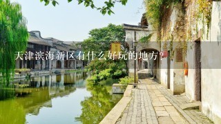 天津滨海新区有什么好玩的地方？