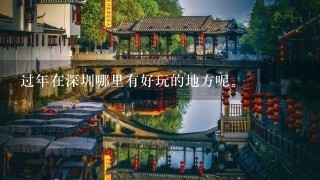 过年在深圳哪里有好玩的地方呢。