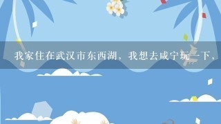 我家住在武汉市东西湖，我想去咸宁玩1下，因为要上班，只有1天的时间，怎么安排