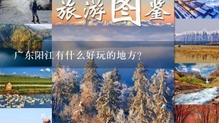 广东阳江有什么好玩的地方？