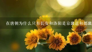 在唐朝为什么只有长安和洛阳是京畿道和都畿道？其他地方为什么没有？